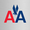 American Airlines American Airlines