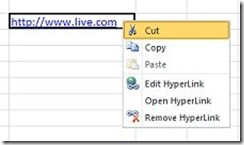 6507_blog_11-09-29_xlcontextmenus%20reduced_jpg-550x0